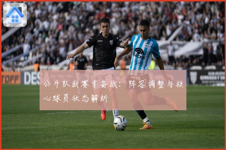 公牛队新赛季备战：阵容调整与核心球员状态解析